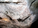 caverns 1 drips.jpg